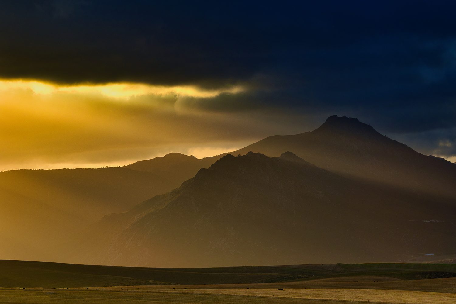 Overberg scenery