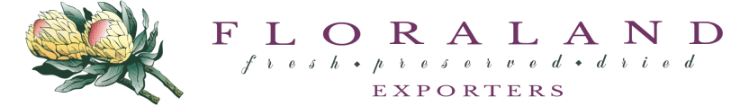 Floraland (Pty) Ltd